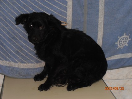 IO:p9250001, NAIRA