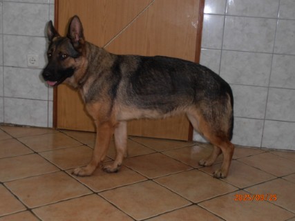 IO:p9250014, WANDA
