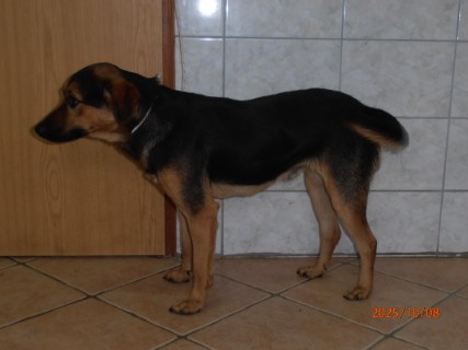 IO:pa080004, RAVI