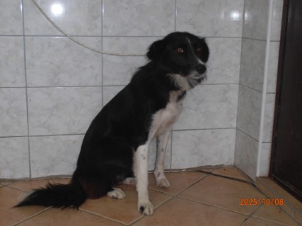IO:pa080009, RANI, rezervirano