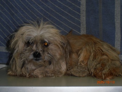 IO:pa130024, AMELIE, rezervirana 23.10