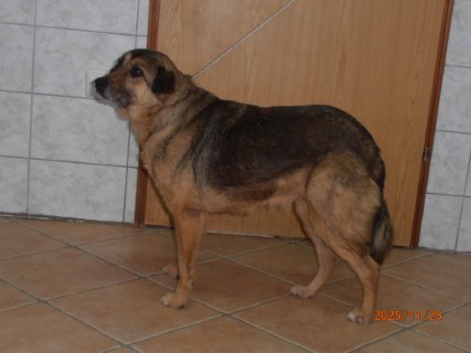 IO:pb250002, MATILDA