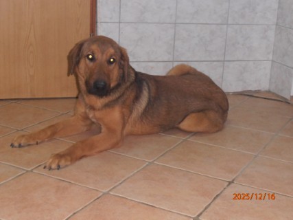 IO:pc160001, NICK, rezerviran 23.01.