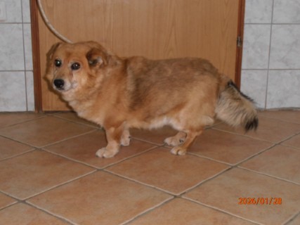 IO:p1280005, CESAR, rezerviran