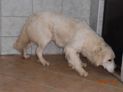 IO:p1280007, GRACE, rezerviran 20.02.