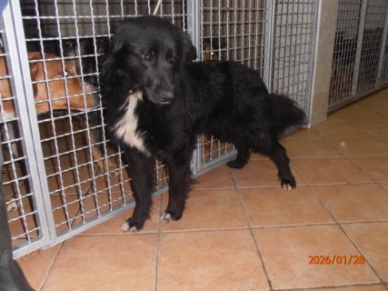 IO:p1280012, MAREK, rezerviran 20.02.