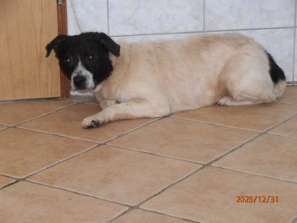 IO:pc310003, rezerviran 23.01.