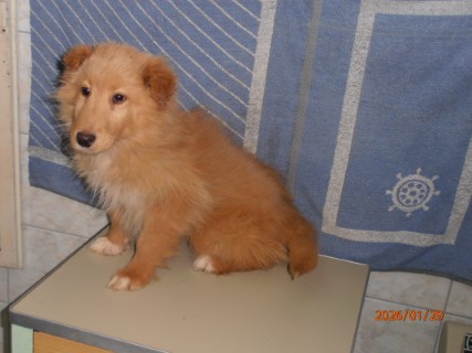 IO:p1290020, ERNIE, rezerviran 20.02.