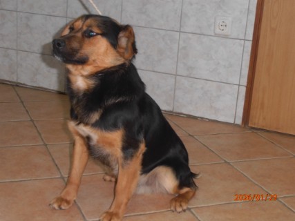 IO:p1290028, BENNI, rezerviran 13.03