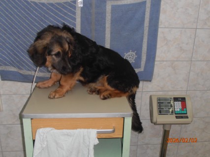 IO:p2020029, PAULA, rezerviran 20.02.