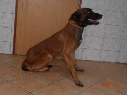 IO:p2100008, MYLO, rezerviran