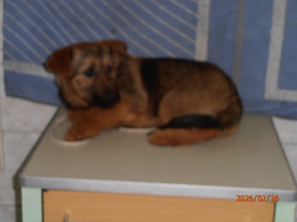 IO:p2260016, MARIA, rezerviran 13.03.