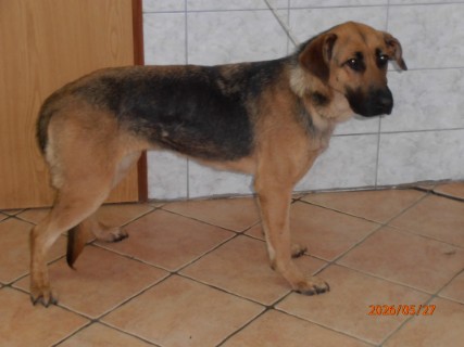 IO:p5270011, KINA