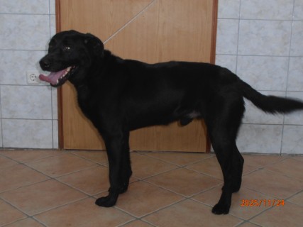 IOI:pb240024, SMOKY, rezerviran FK