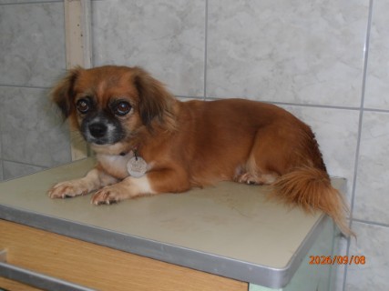 IO:9080026, MAZA