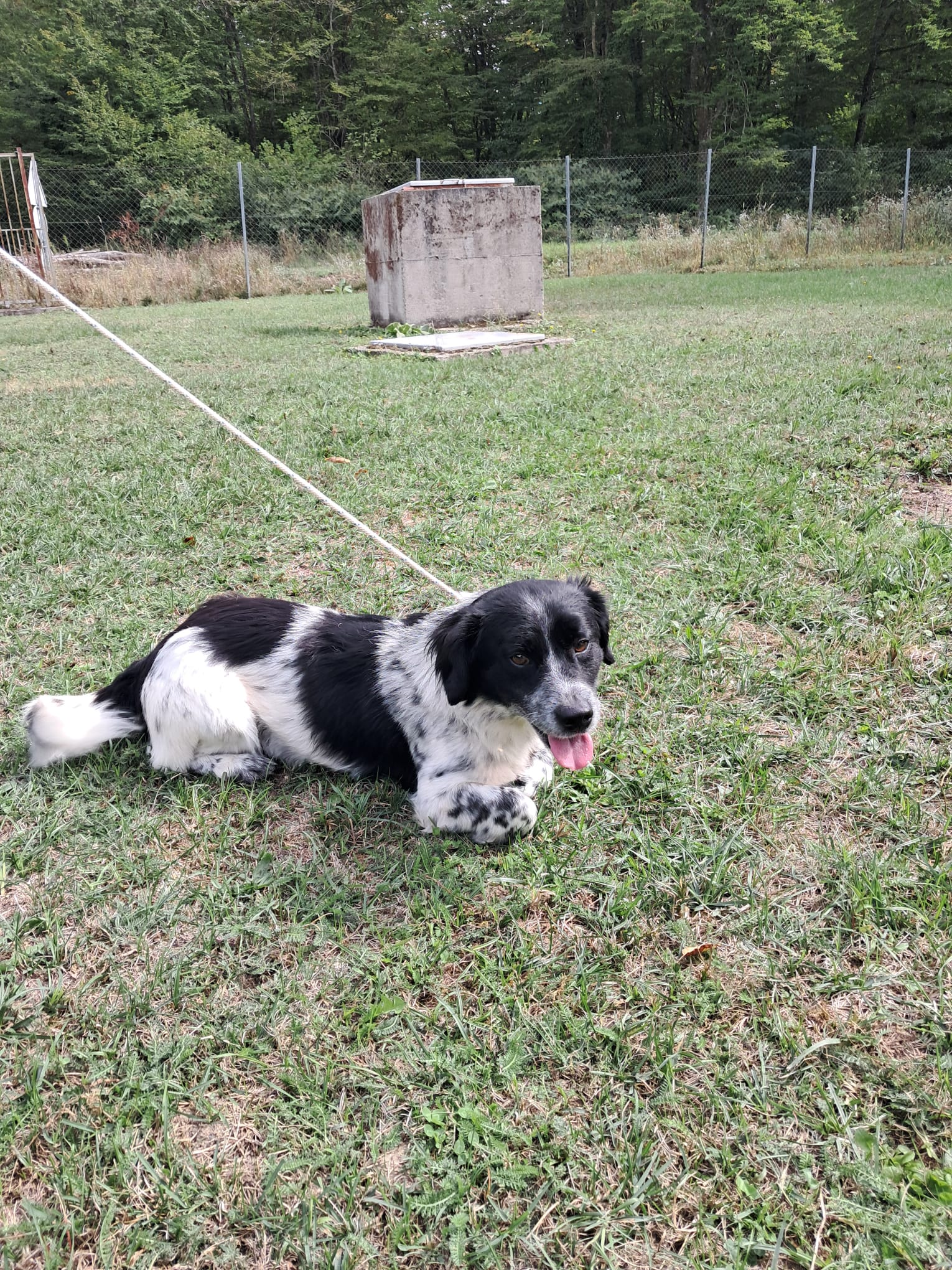 2365349,SNOOPY,REZERVIRAN