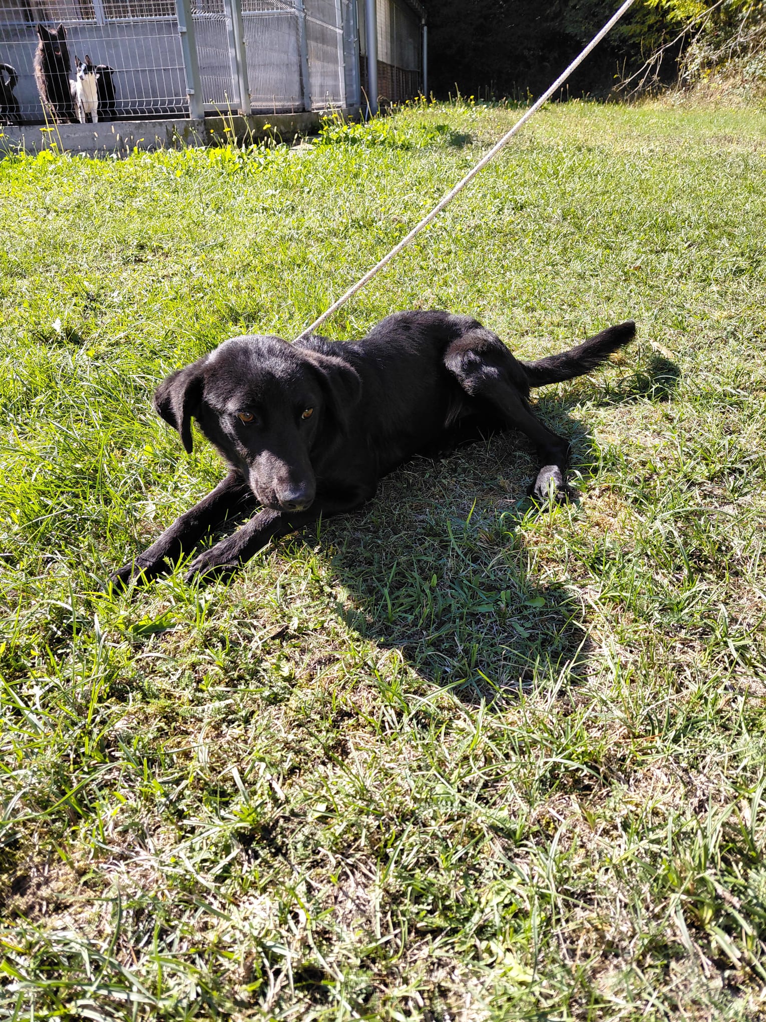 2368802,MANDY