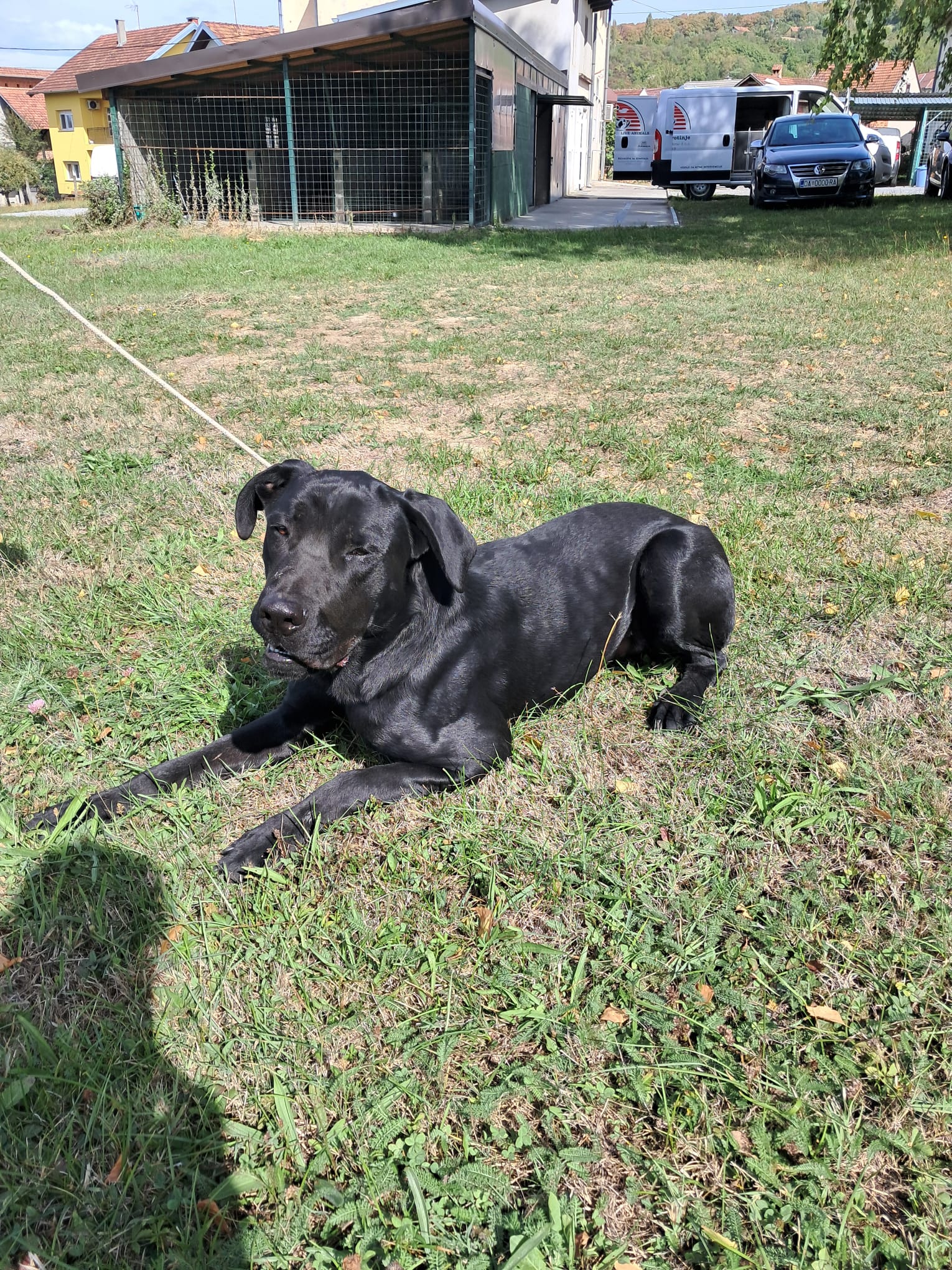 2368964,MAVERICK